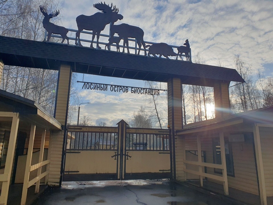 Лосиная биостанция будет открыта для посетителей все ноябрьские праздники