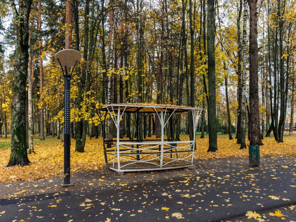 От свайного поля до пляжной зоны: история преображения «Липовой аллеи» в Богородском округе
