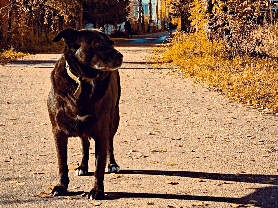 Синоптики рассказали, что 30 октября станет последним теплым днем перед похолоданием