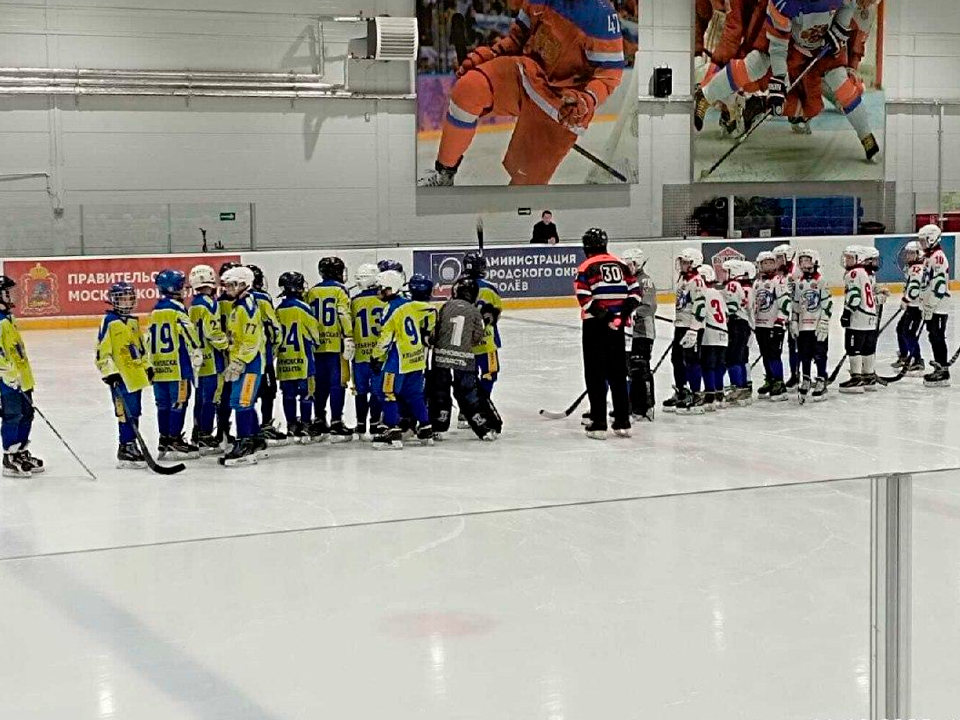 Турнир в честь трехкратного чемпиона мира по хоккею с мячом прошел в округе