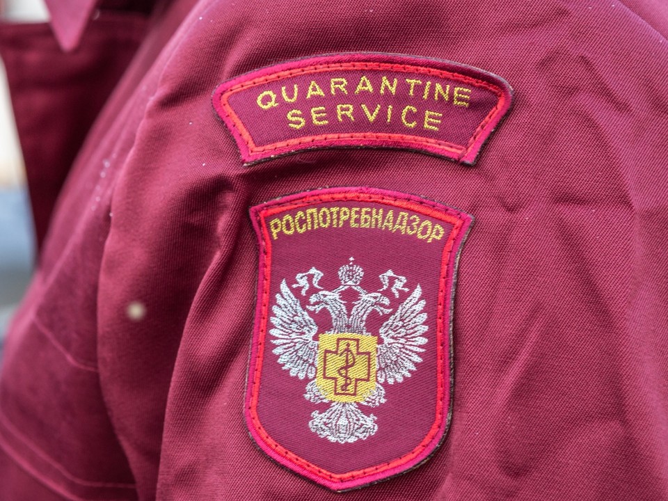Роспотребнадзор проверит магазин на улице Нестеренко после жалобы жителей на мусорную свалку