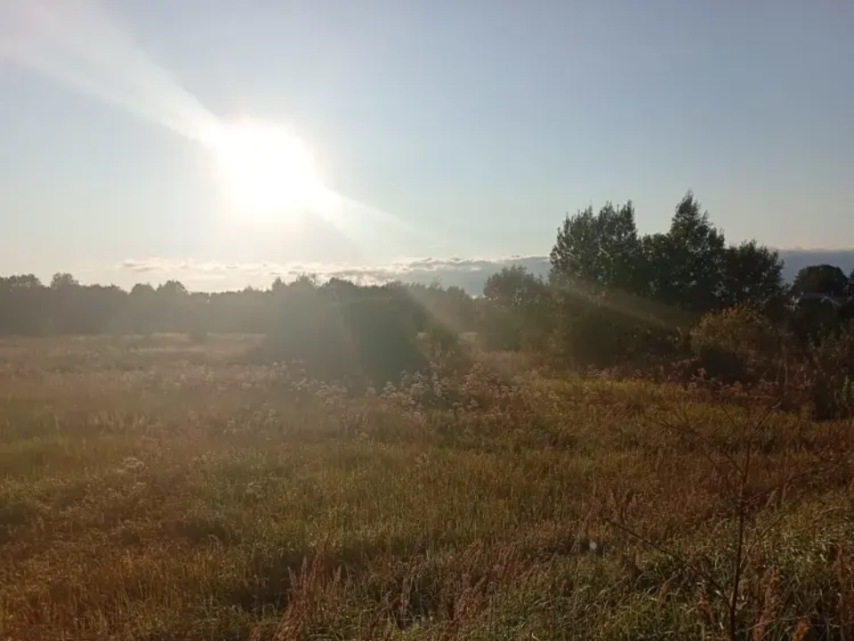 Земля за копейки и без ажиотажа: в деревне Новая нашли участок, который почти не подорожал на торгах