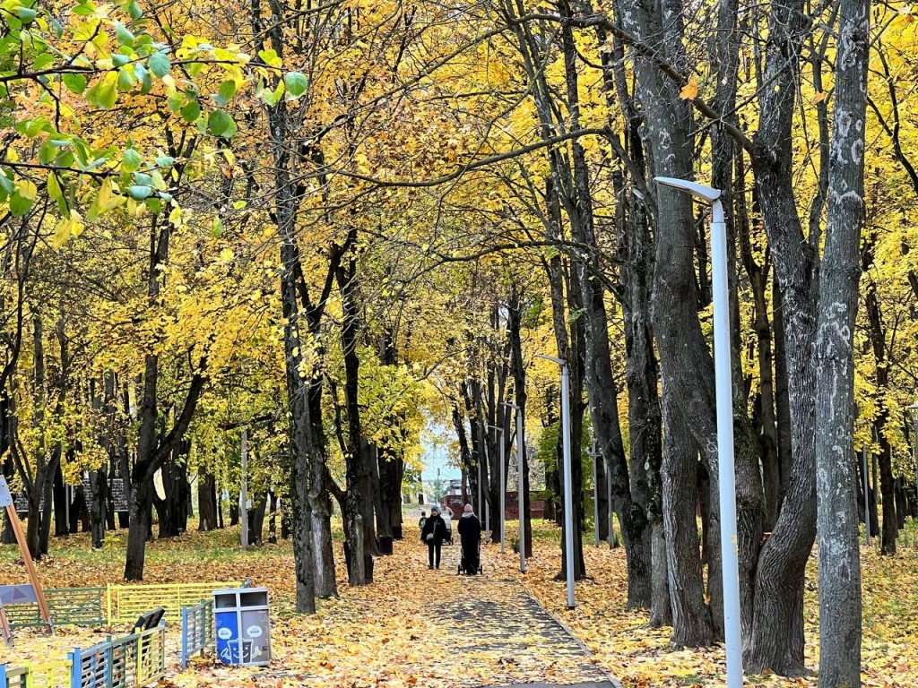 От осенней слякоти к зимним морозам: погода в Подмосковье в ноябре будет аномальной