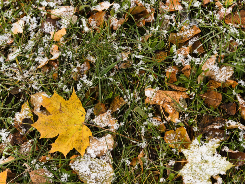 Похолодание и первый снег уже в октябре: синоптик сделала неожиданный прогноз погоды в Подмосковье