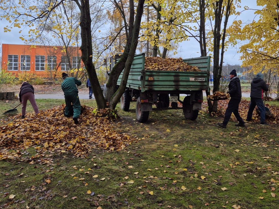 Коммунальщики убирают до 15 тонн листвы ежедневно с улиц города