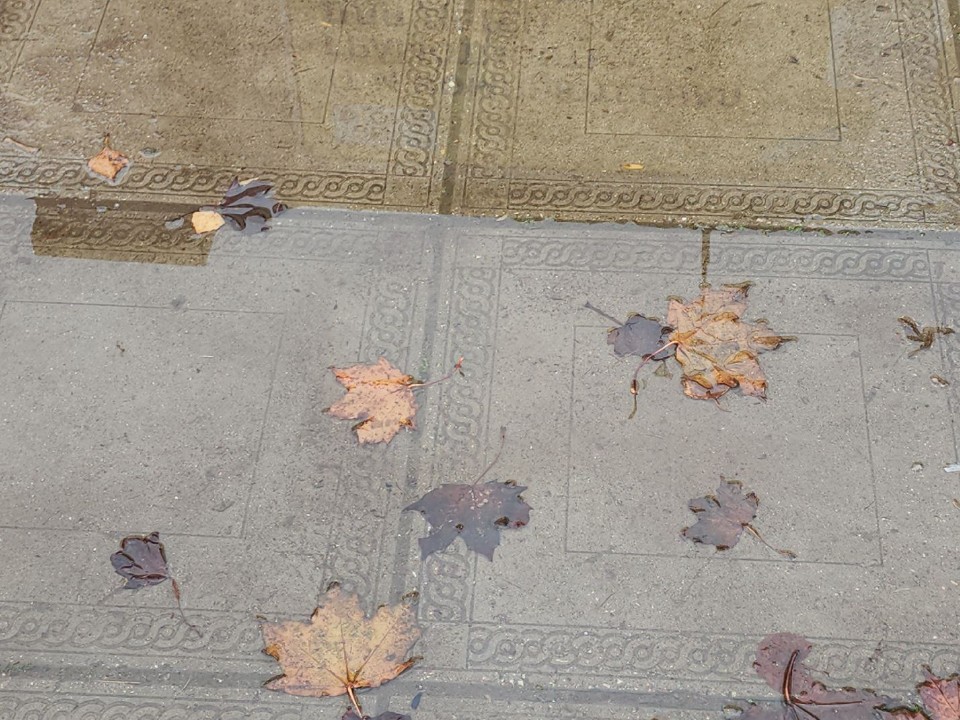 В Истре навели порядок у «Мира»: мокрые листья больше не мешают жителям