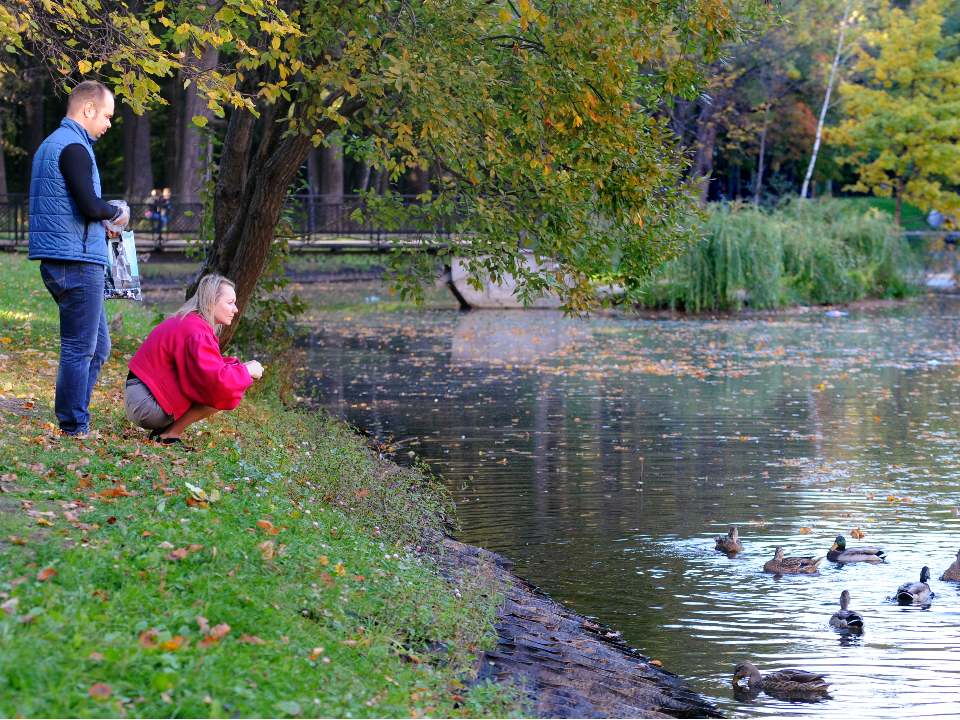 Красногорцы могут выиграть семейные билеты в парк аттракционов или океанариум
