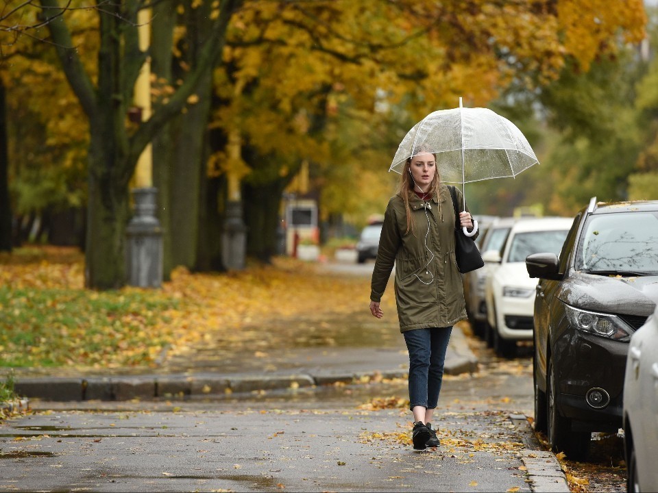 Библейский ливень: по прогнозу синоптиков Подмосковье накроют опасные дожди