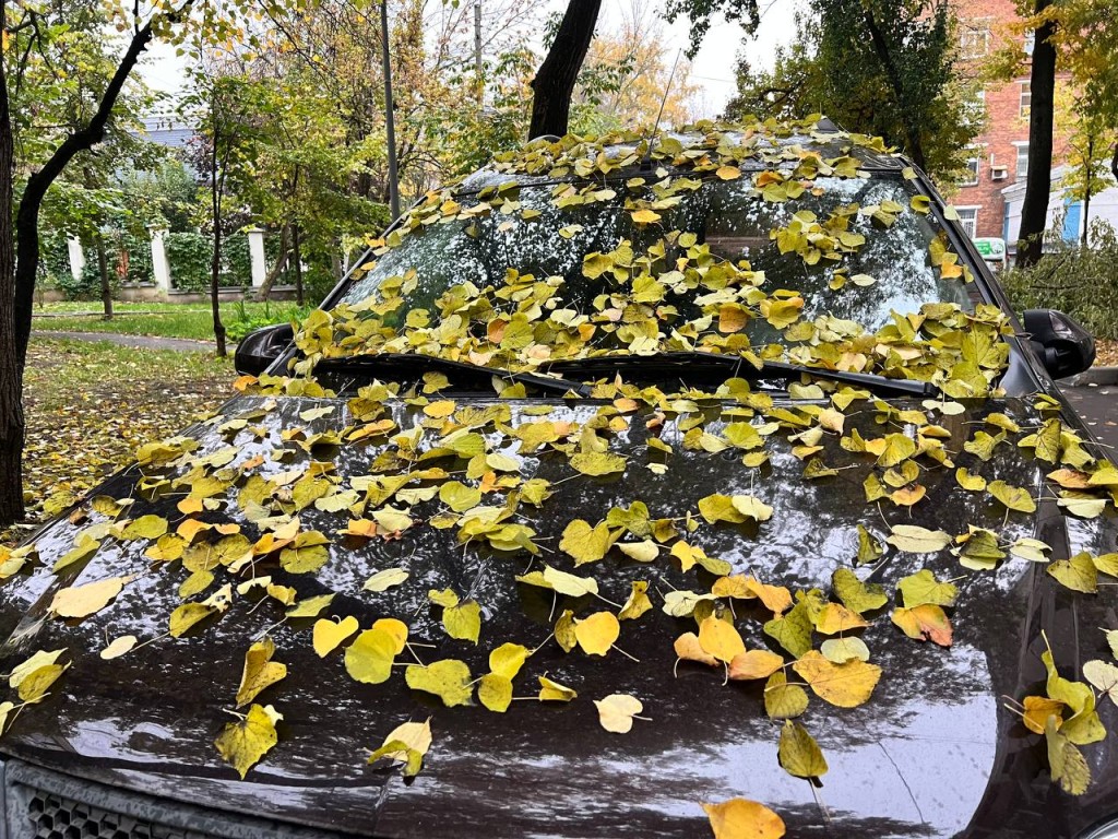 Как долго будет держаться аномальное тепло в Подмосковье, рассказал синоптик Ильин