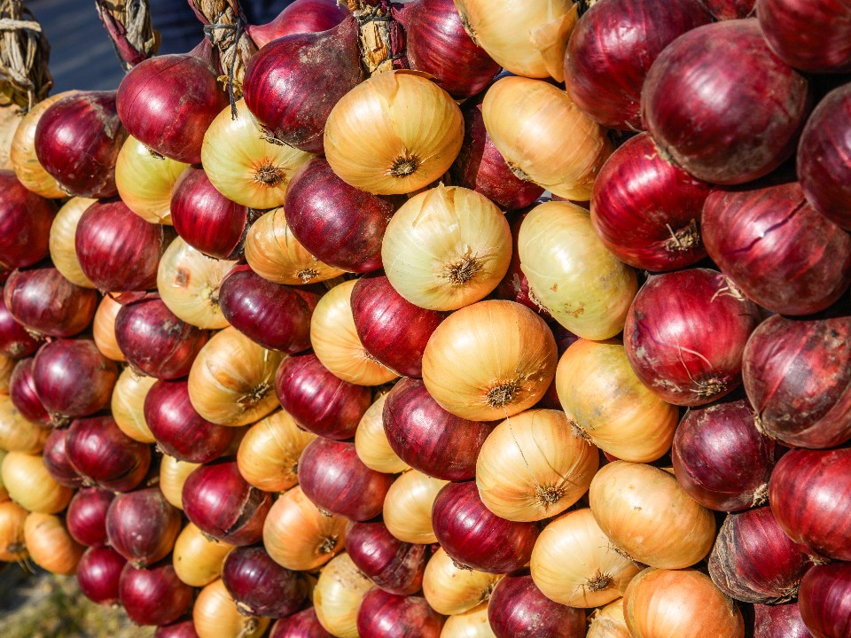 Вместо Хеллоуина будем праздновать Луков день: почему в этот день принято плакать