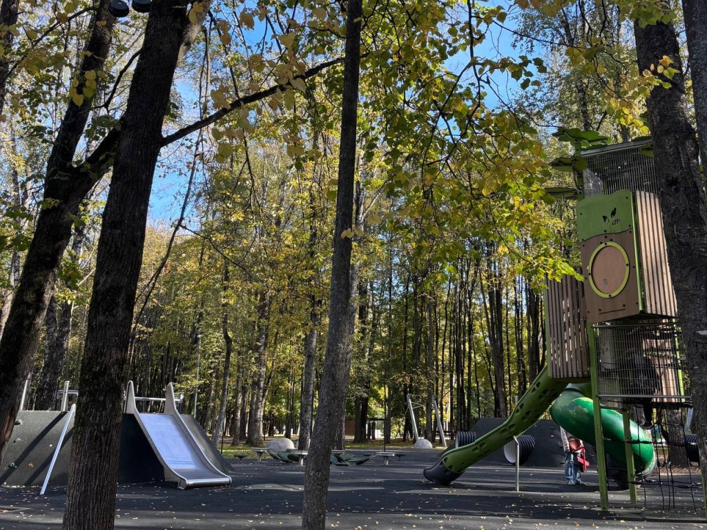 Фонари в парке Солнечногорска включают по расписанию