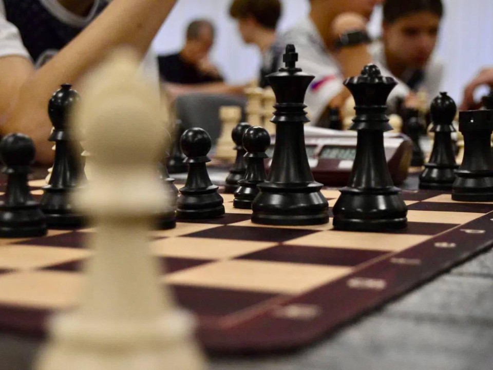 В Домодедове на стадионе «Авангард» открылся шахматный клуб для участников СВО