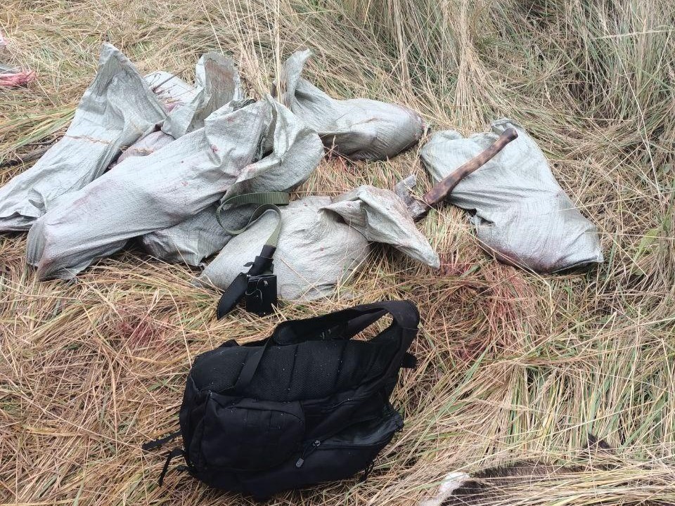 Вооруженного браконьера задержали в лесу в Подмосковье