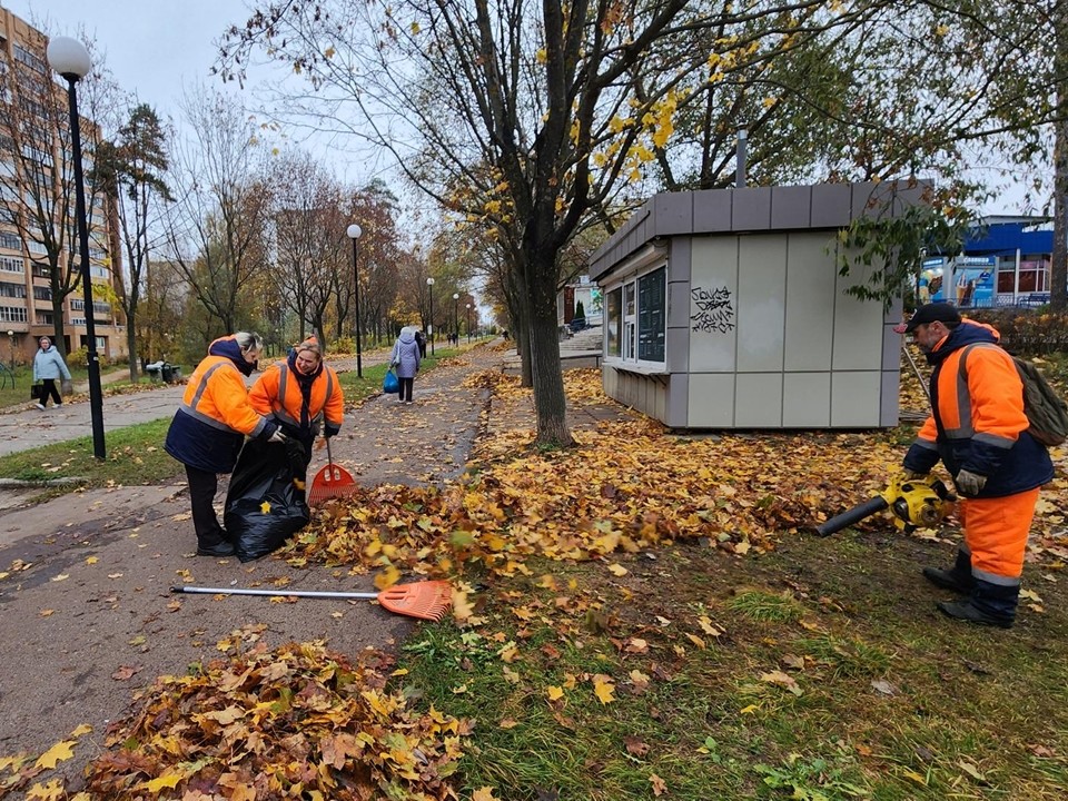 Протвино прощается с золотой осенью: на Ленина коммунальщики собрали палую листву