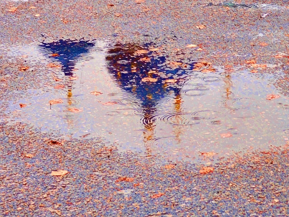 Прислушайтесь к интуиции: что ждет все знаки зодиака 8 октября