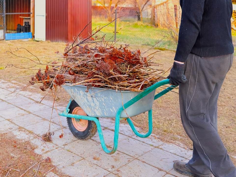 Что сделать на участке в октябре: советы для дачников