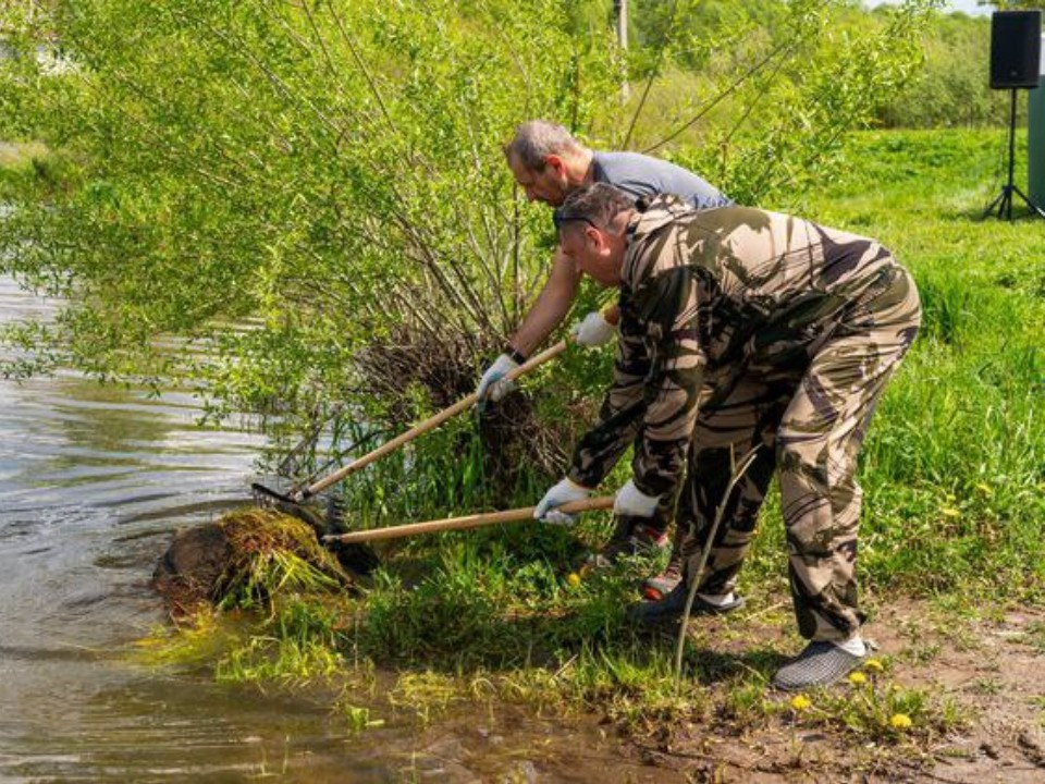 Пруд в Старом Городке приведут в порядок в 2026 году