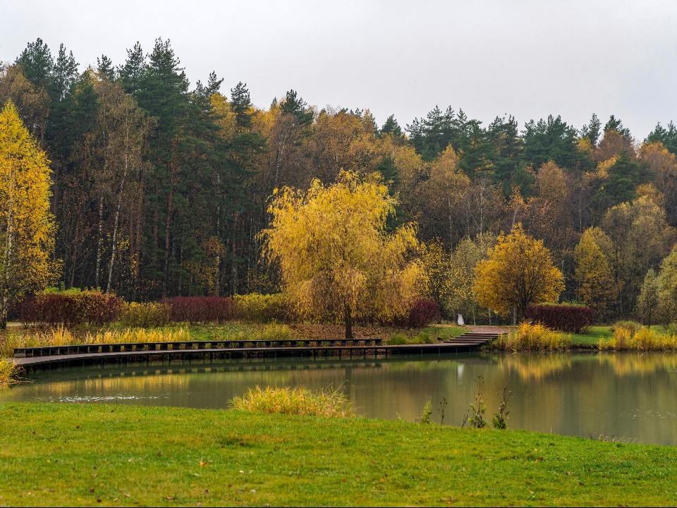 Минимальная угроза: что известно о лесопожарной обстановке в выходные в Подмосковье