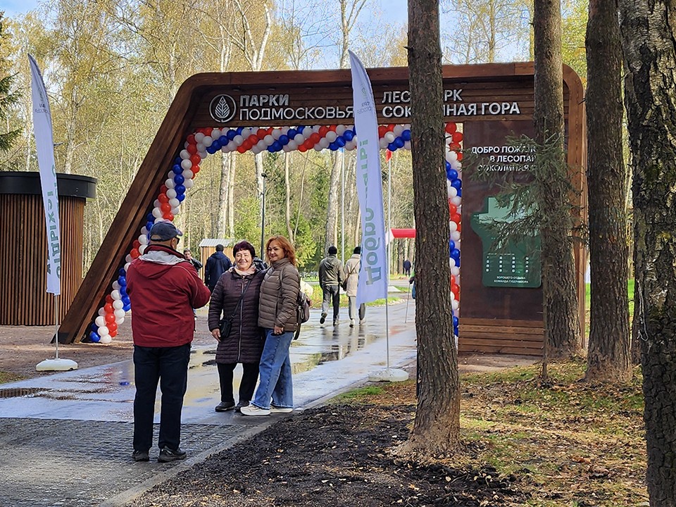 Лесопарк «Соколка» и сквер в Глебовском: что обустроили в Истре в 2025 году