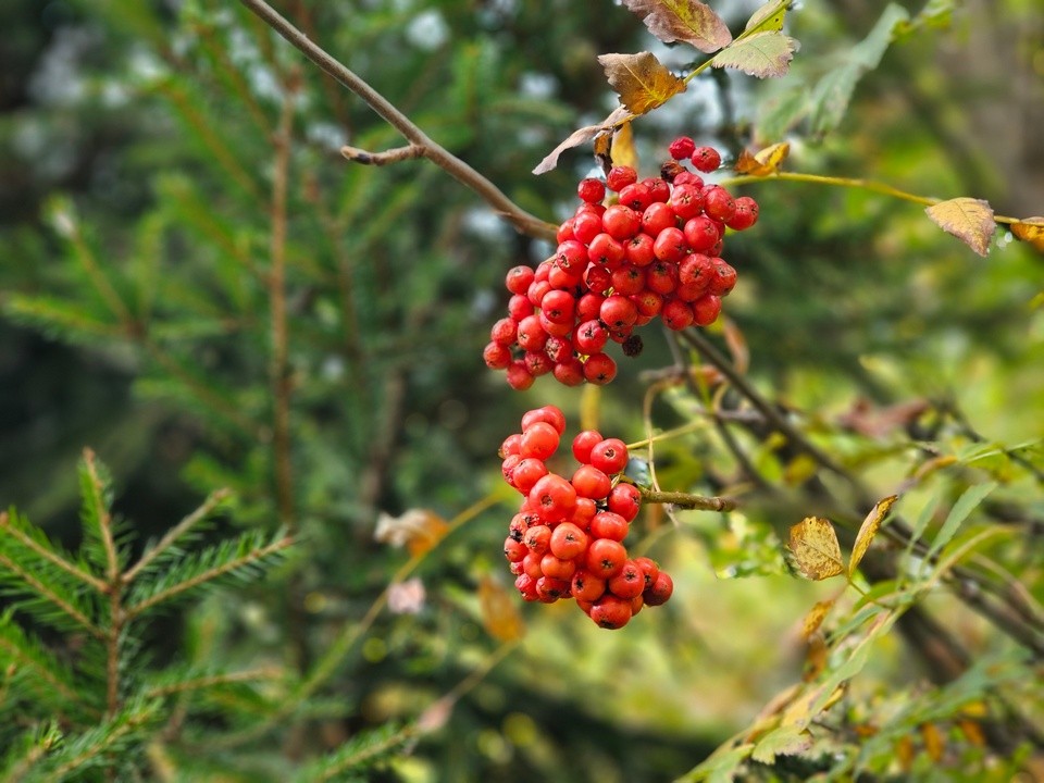 Иней и заморозки сменятся неожиданным потеплением к выходным в Подмосковье