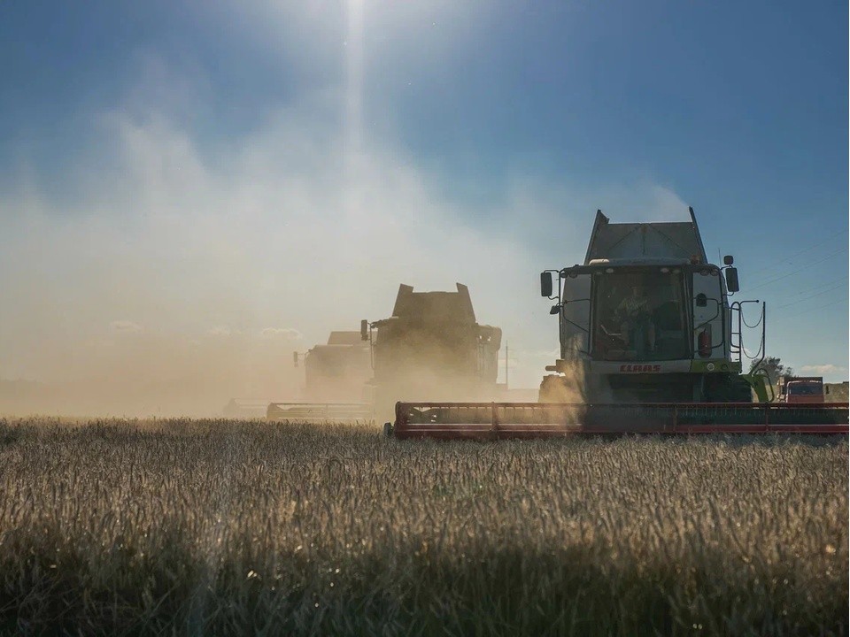 Сельхозработников Чехова поблагодарили за отличный урожай