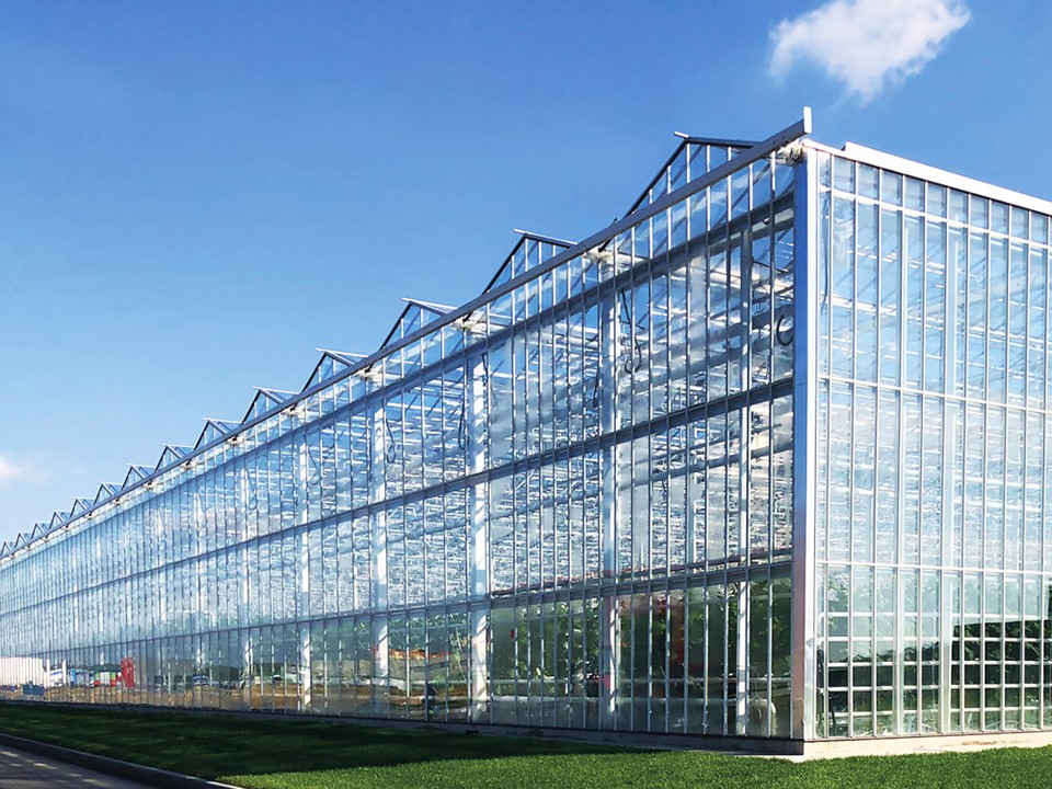 В Электростали построят вторую очередь тепличного комплекса площадью 15 га