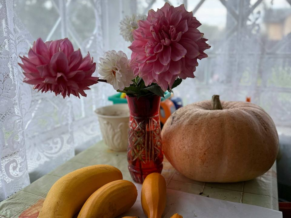 Три важных дела, которые нужно завершить на дачном участке в октябре: советы подольского садовода