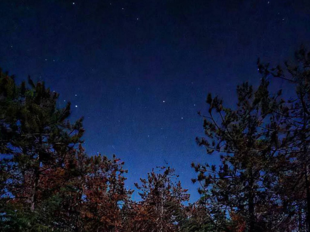 Гороскоп для всех знаков Зодиака на 5 ноября 2025: Близнецы, Львы и Раки воплотят мечту, а Девы и Скорпионы могут ошибиться