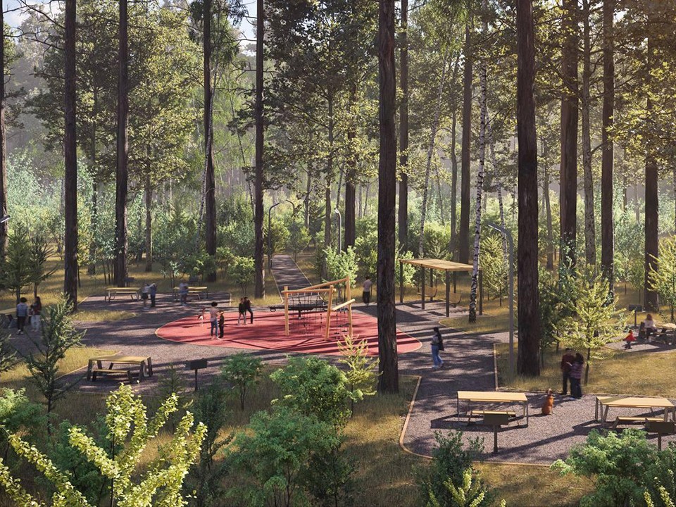 Парковский лес и сквер в Дрезне: что обустроили в Орехово-Зуевском округе в 2025 году
