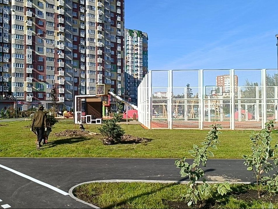 Ели, пихты и яблони: какими растениями украсили новый парк в подмосковной Лобне