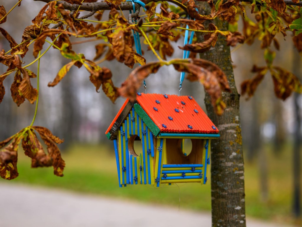 Осень в Одинцове: синоптики прогнозируют затяжные осадки и похолодание