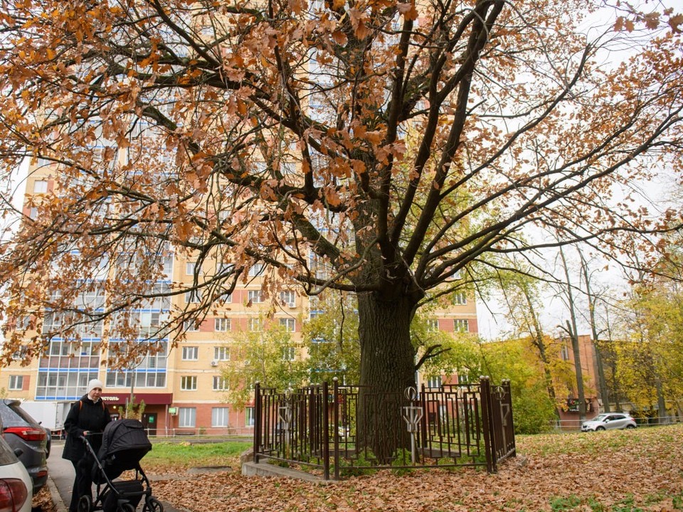 Как провести выходные всей семьей в Лыткарине 11 и 12 октября