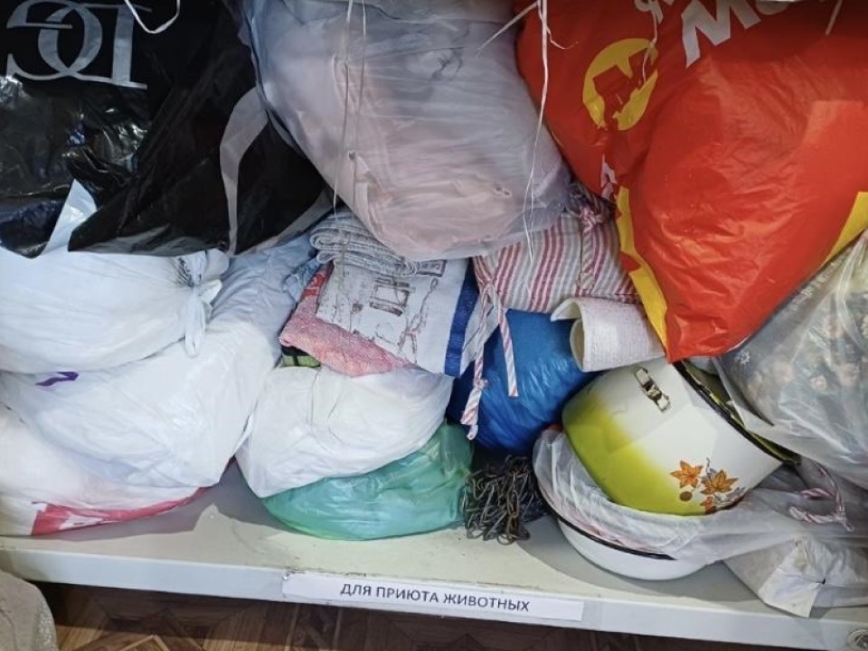 В Чехове волонтеры экодвижения собрали и передали помощь для зооприюта