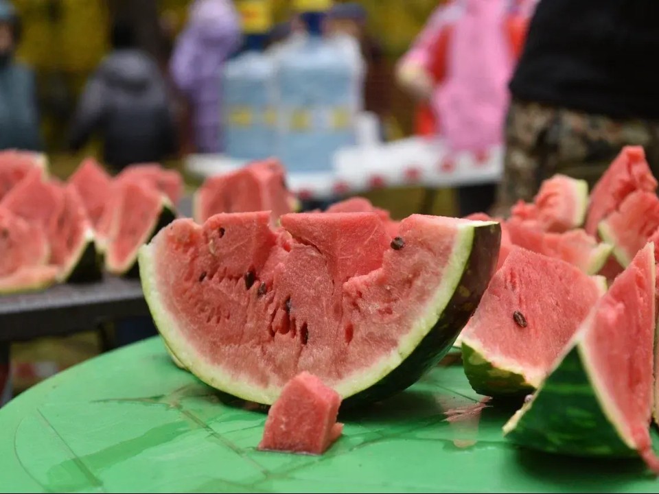 Более 800 бегунов получили арбуз на финише «Фруктового забега» в Балашихе