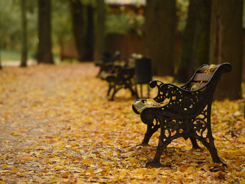 Дожди не отпускают Подмосковье — но скоро все изменится! Вот когда выглянет солнце