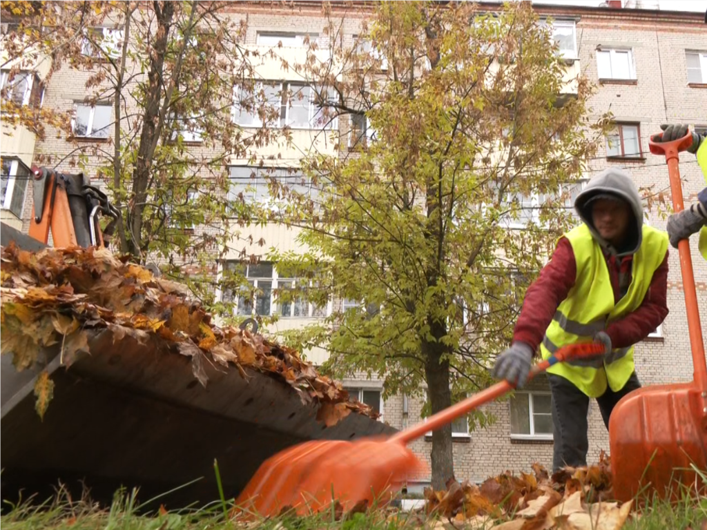 Опавшие листья в Серебряных Прудах превращают в ценный ресурс