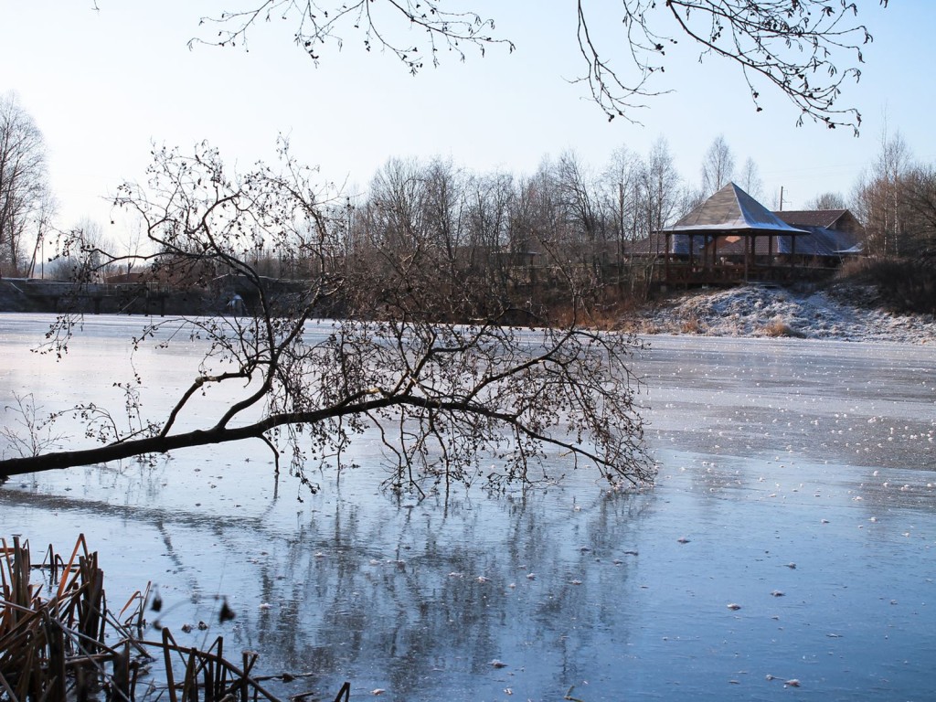 Метеорологи дали прогноз на ноябрь 2025 года в Подмосковье