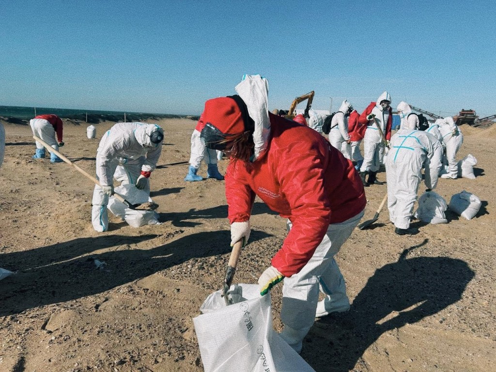 Волонтеры Ленинского округа заявляют о себе на Всероссийском и международном уровне