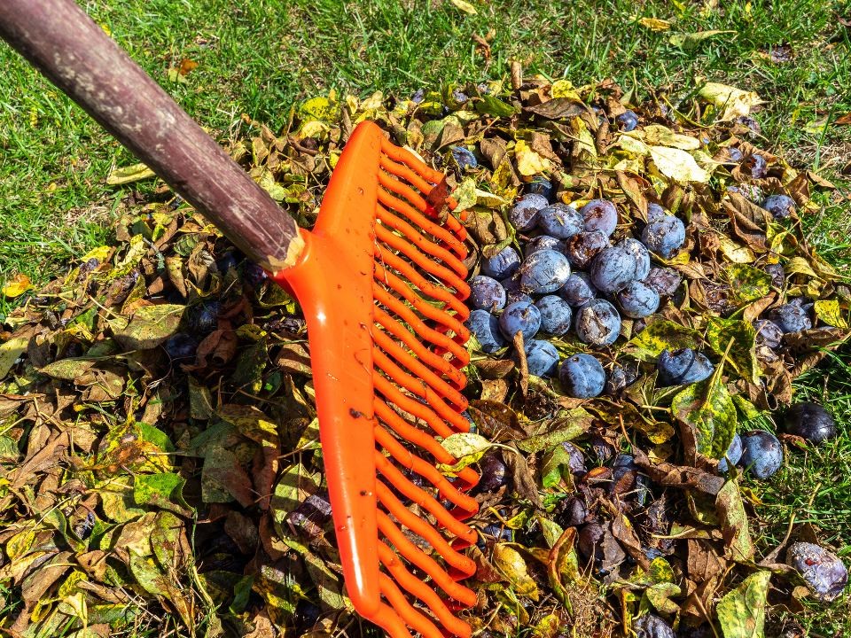 Что сделать в саду в середине октября: 6 лайфхаков от опытной дачницы