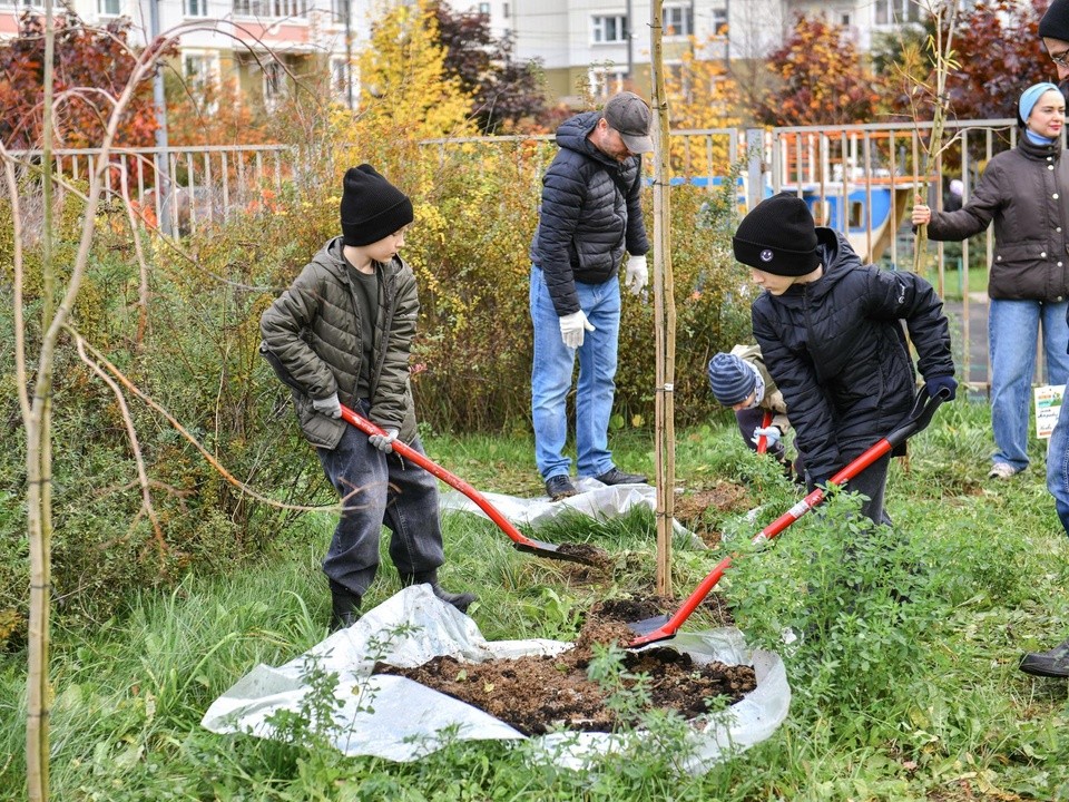 Дети и родители вместе высадили деревья у школы «Флагман»