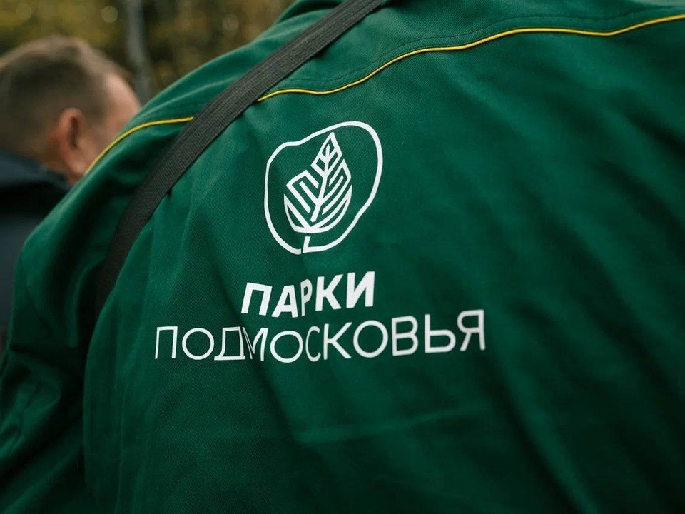 Парки Домодедово готовы к зиме: техника проверена, крошка закуплена