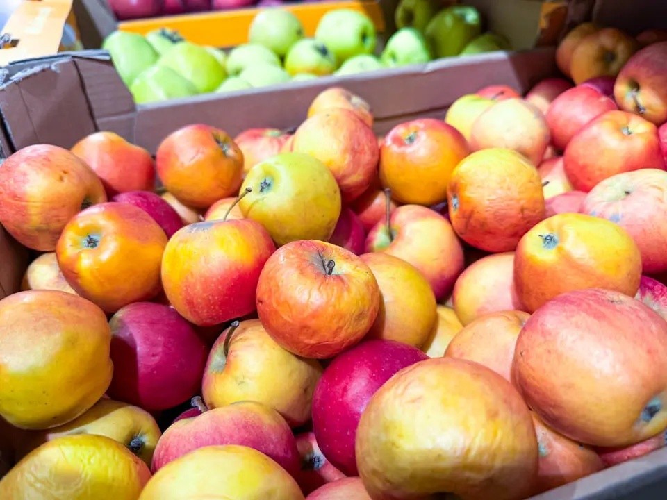 Не храните, а хороните: эксперт не стесняясь в выражениях раскритиковал обычный метод хранения яблок