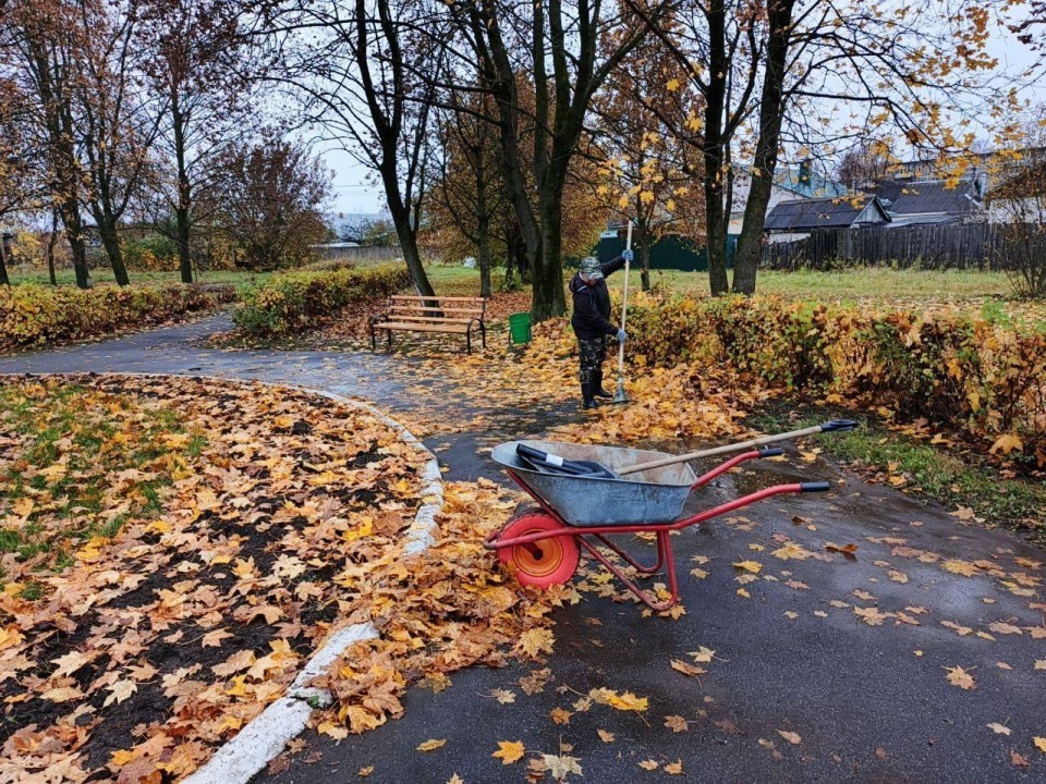 Куда в Коломне исчезают тонны опавшей листвы и почему ее нельзя сжигать