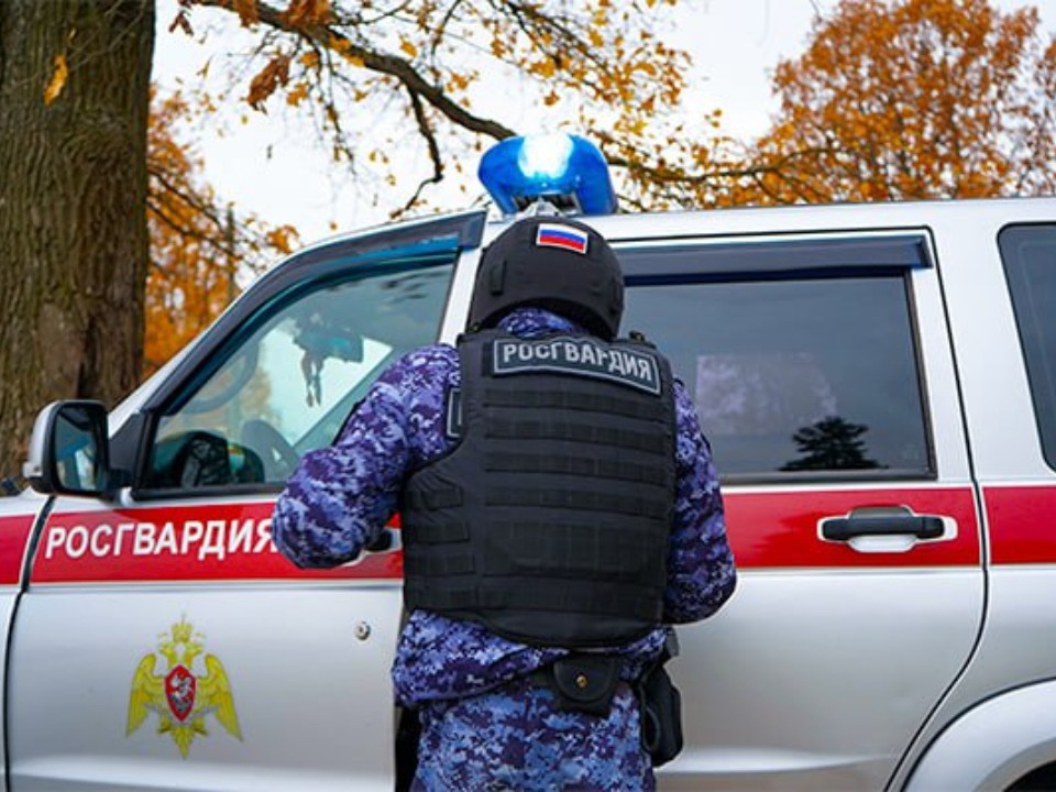 Росгвардейцы задержали жителя Одинцова, угрожавшего убийством жене