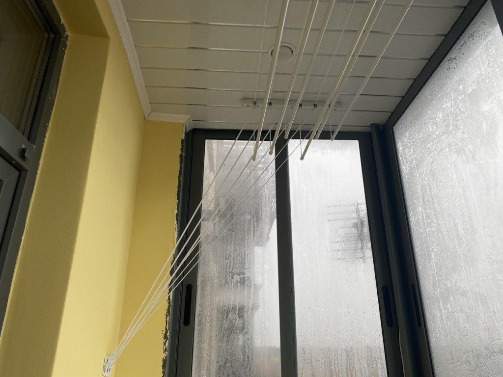 Пушкинские балконы под присмотром: власти ищут «лекарство» от протечек