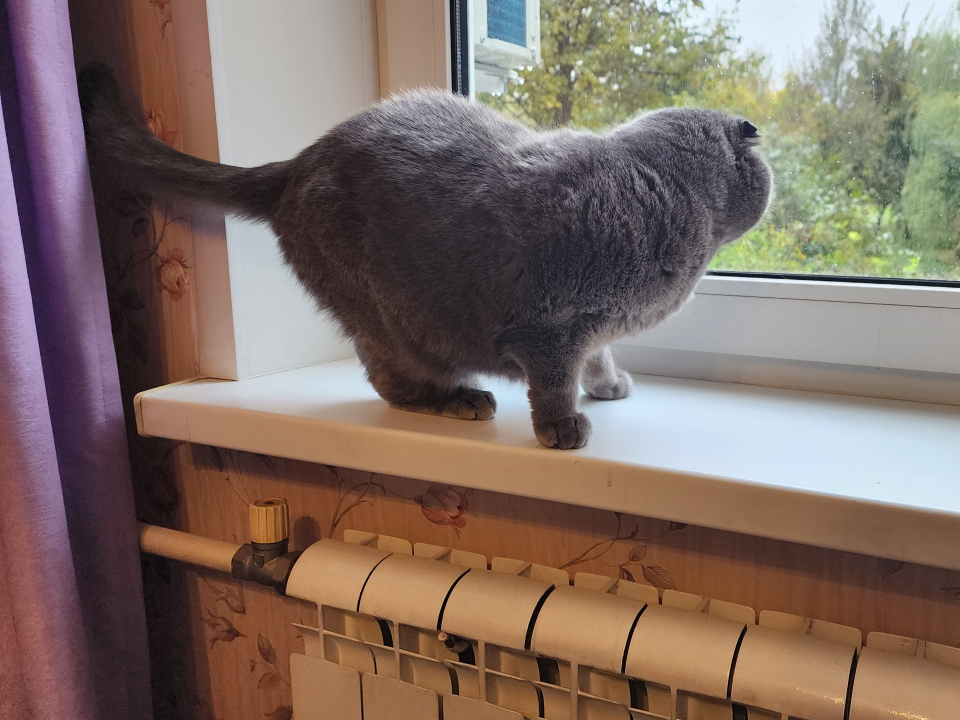 Батареи в домах Манушкина потеплеют к 14 часам