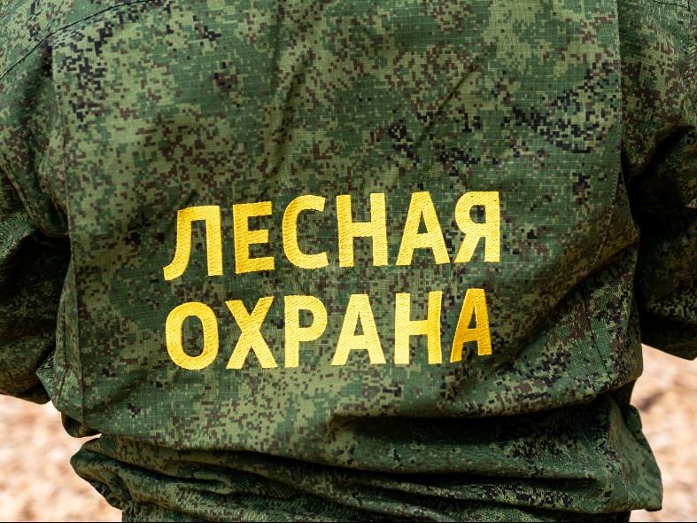 Жителей Подмосковья наказали рублем за нарушения в лесах