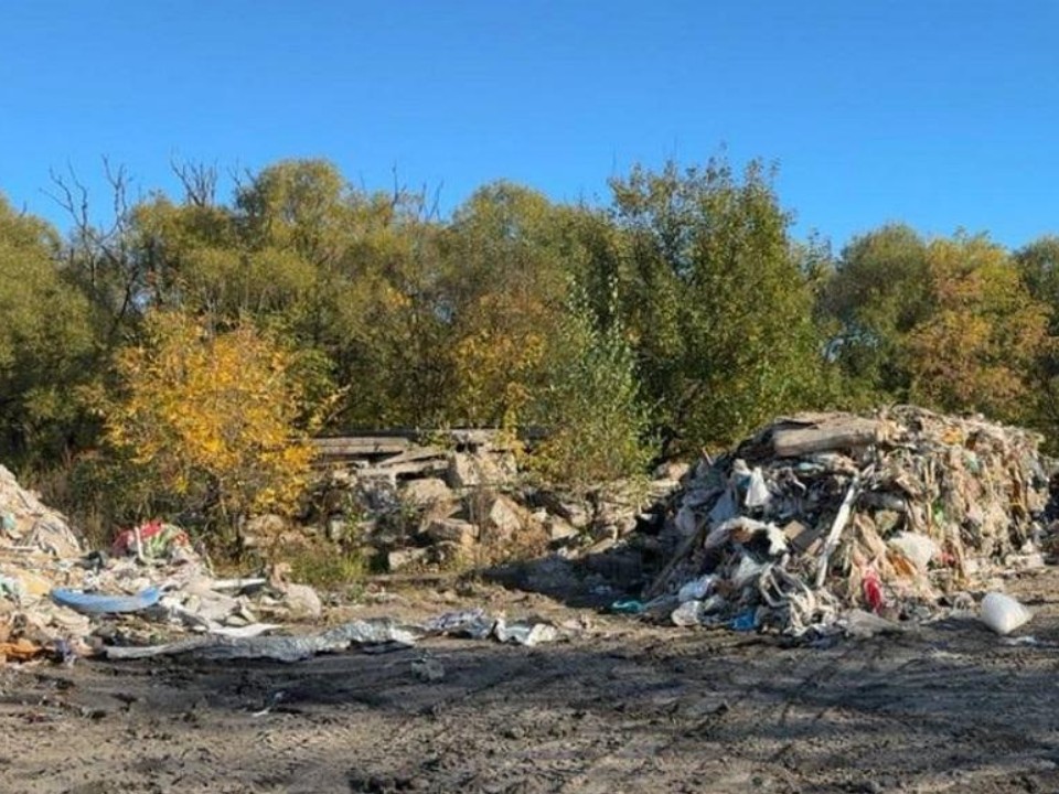 В Одинцове управляющая компания заплатит за нелегальную свалку