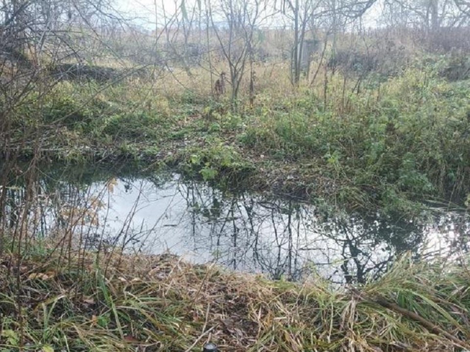 Управляющая компания заплатит за загрязнение ручья сточными водами