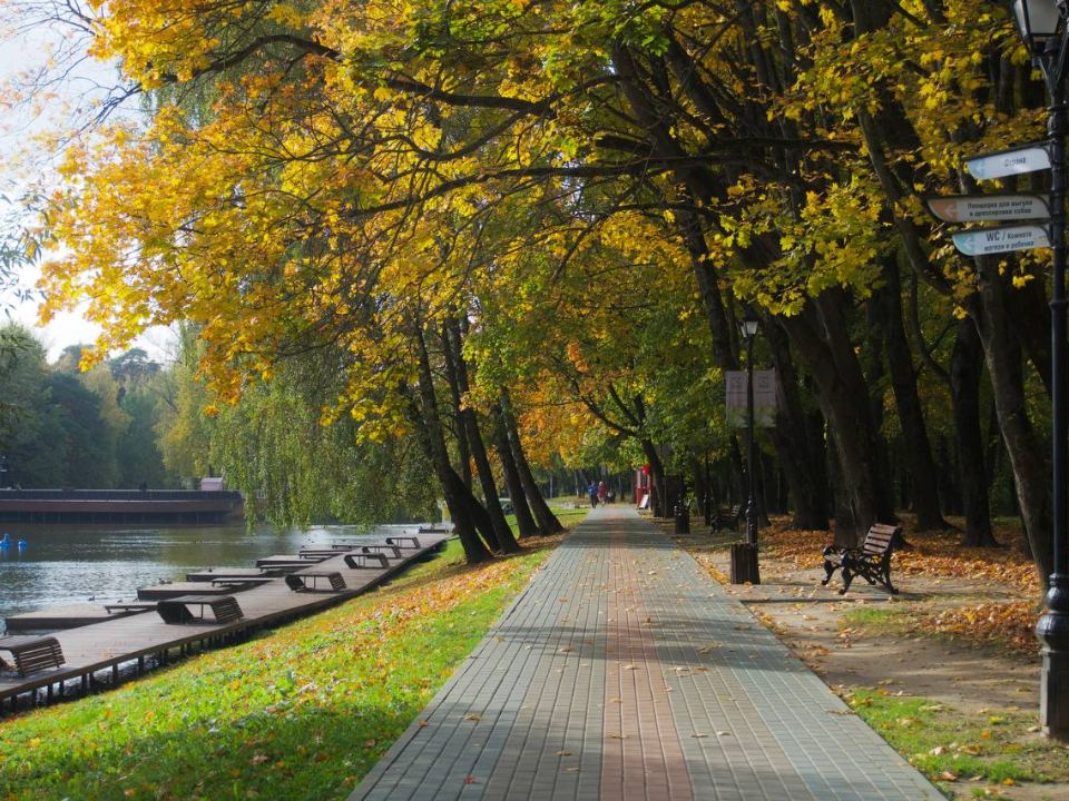 Викторины, мастер-классы и кинопоказы проведут для детей и взрослых 12 октября